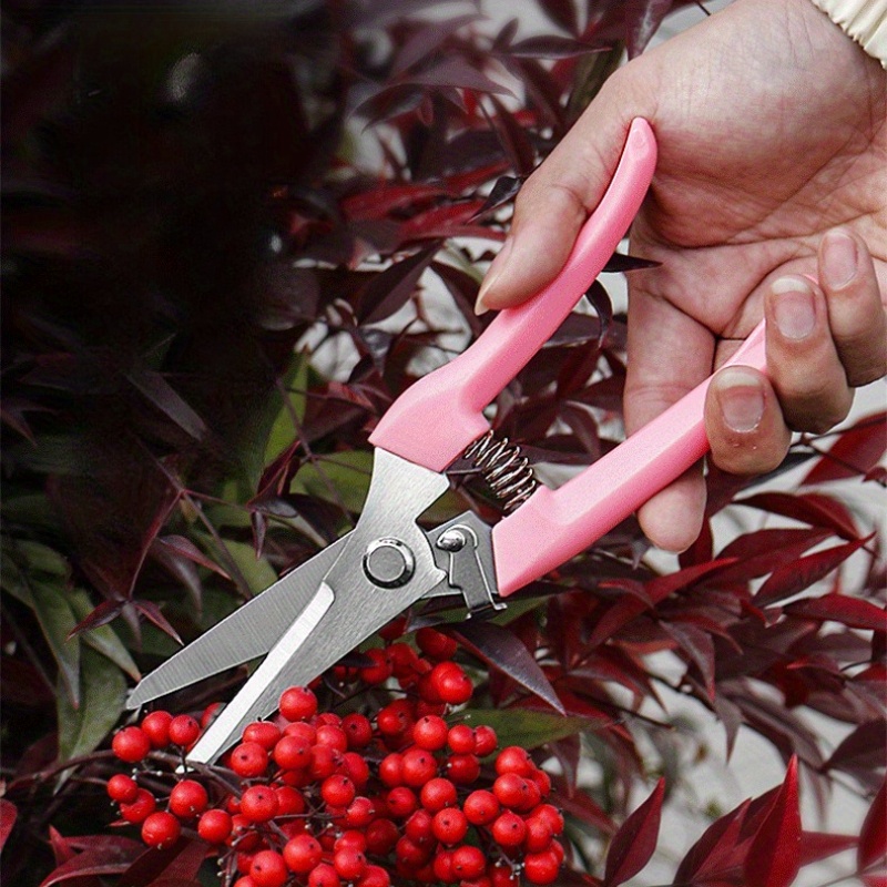Paquete de 2 tijeras para flor - Pinking Shear Blade reseña y precio